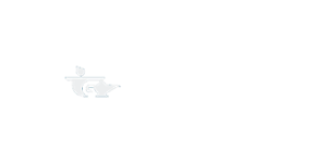 JinoBet 500x500_white